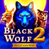 Bocoran RTP Slot Bng Black Wolf 2